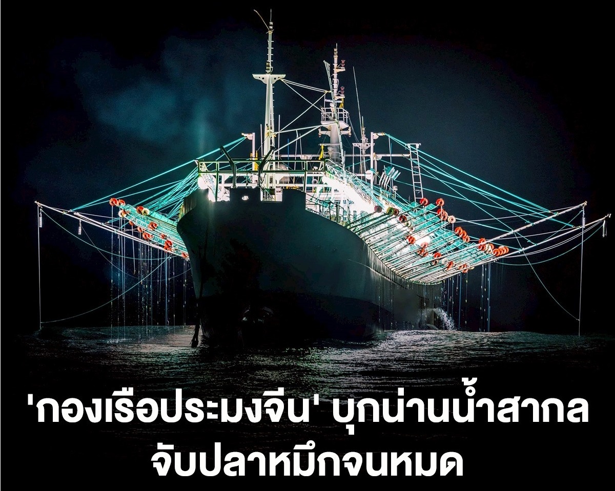 ‘กองเรือประมงจีน’ บุกน่านน้ำสากล จับปลาหมึกจนหมด