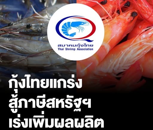 ภาษีทรัมป์รอบใหม่ไม่สะเทือนกุ้งไทยแข่งได้ฉลุย