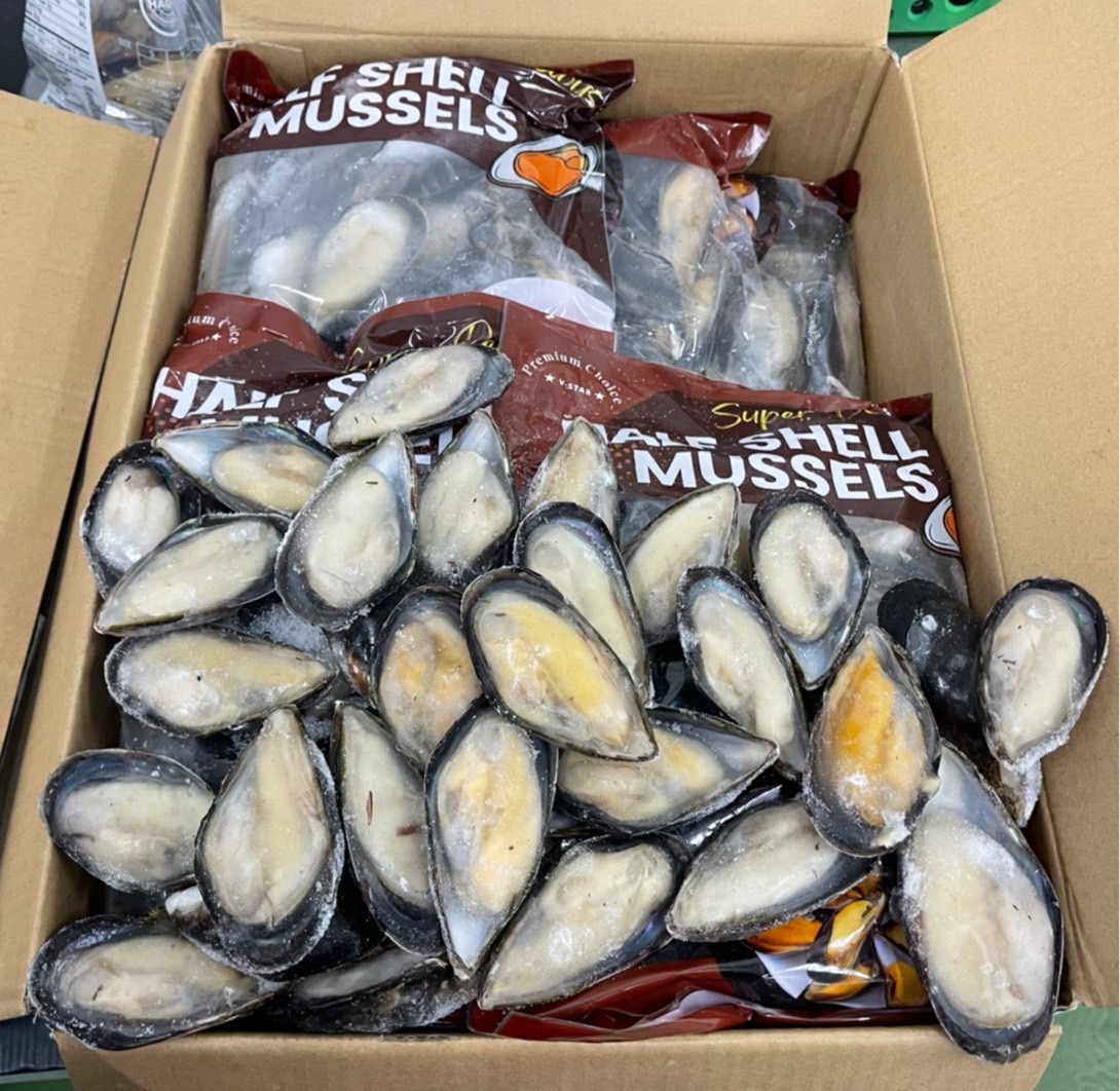 หอยแมลงภู่