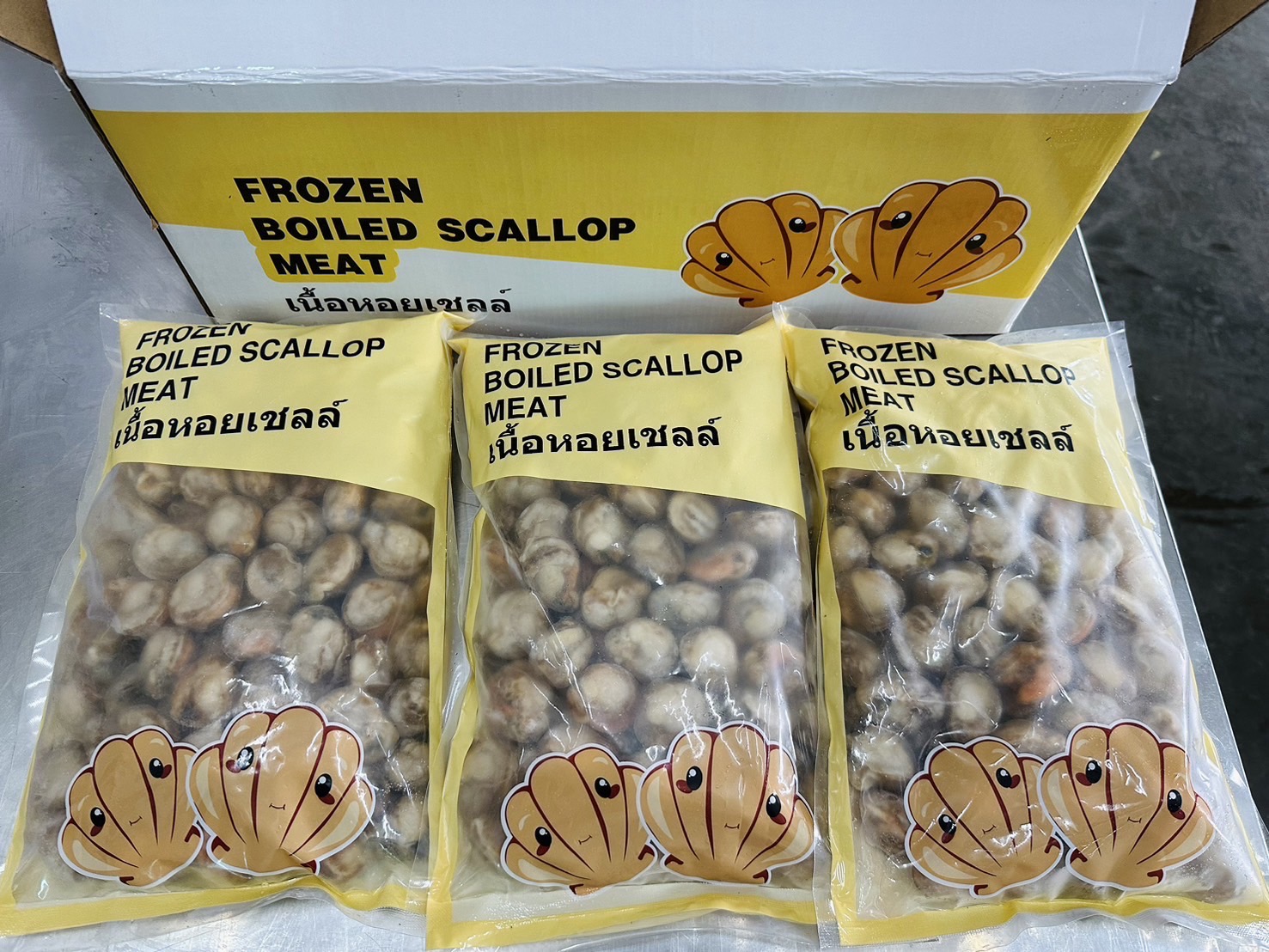 เอ็นหอยเชลล์