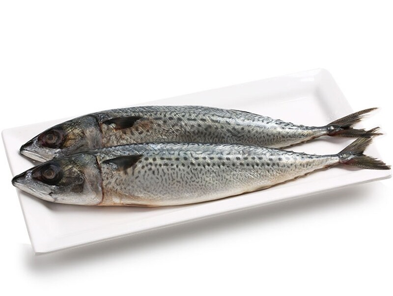 ปลาซาบะ